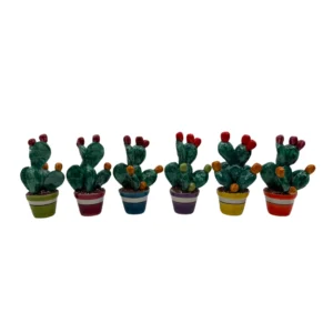 pianta fico d'india h 10 vaso colorato