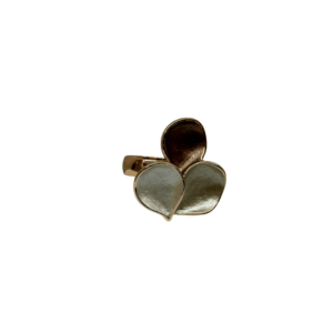 352 anello regolabile  cupole Sahara